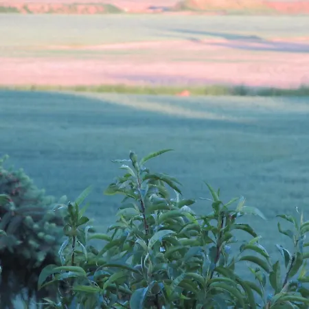 Appartement Zum Wiesengrund Im Oderbruch