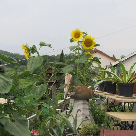 Zum Wiesengrund Im Oderbruch