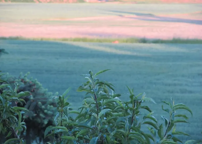 Apartamento Zum Wiesengrund Im Oderbruch