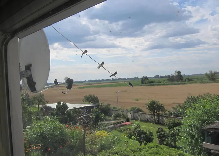 Zum Wiesengrund Im Oderbruch * Altglietzen