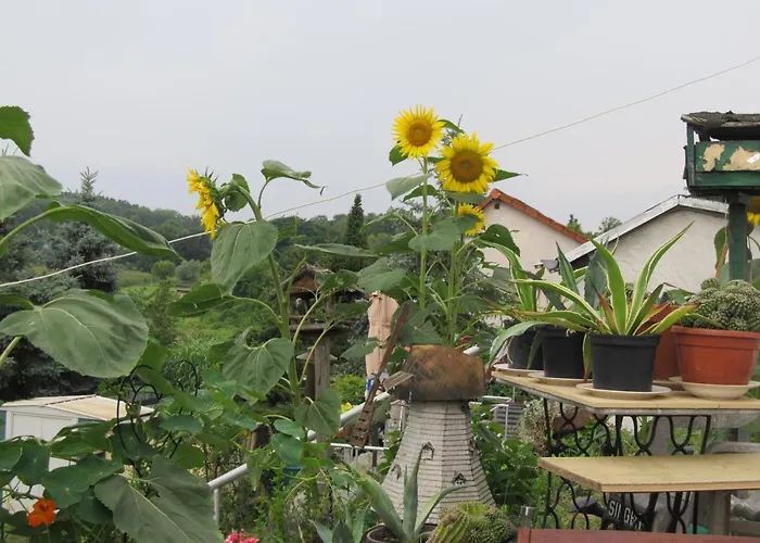 Zum Wiesengrund Im Oderbruch