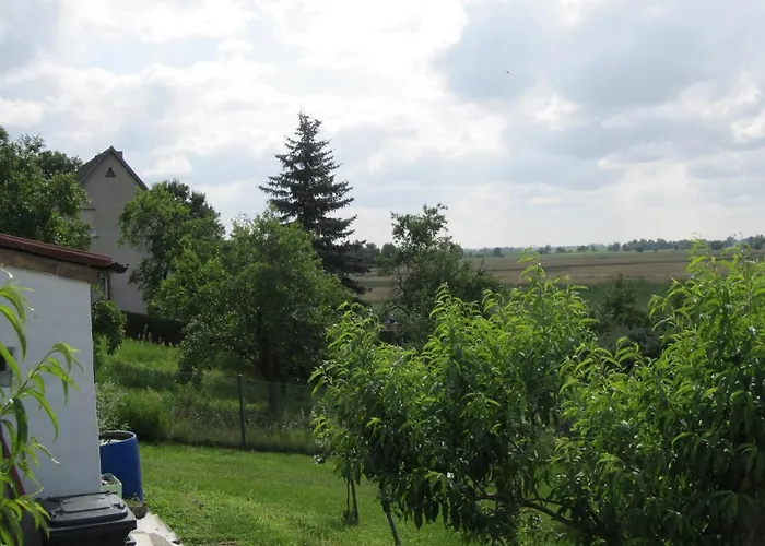 Apartamento Zum Wiesengrund Im Oderbruch *