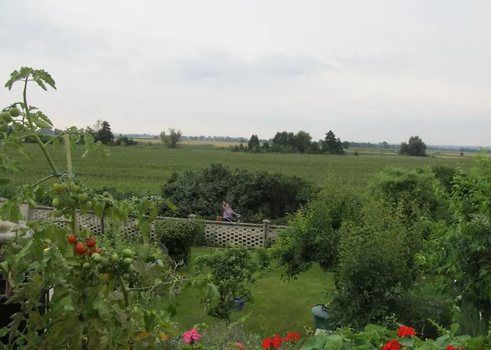 Zum Wiesengrund Im Oderbruch *